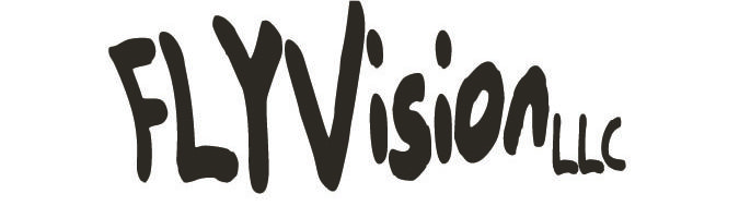 FLYVision